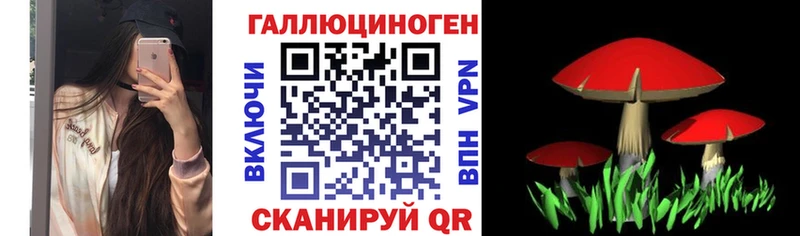 даркнет сайт  Лабинск  Галлюциногенные грибы GOLDEN TEACHER 